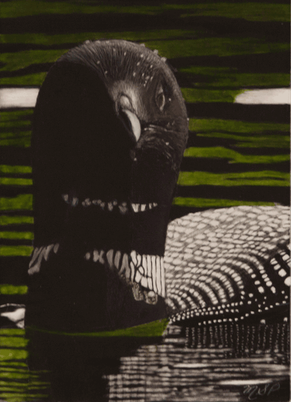 A Watching Loon