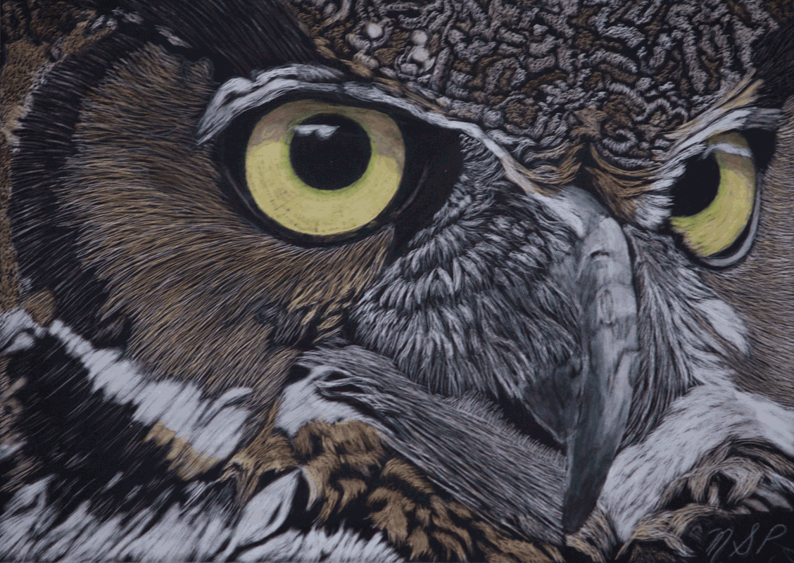Horned Owl Eyes
