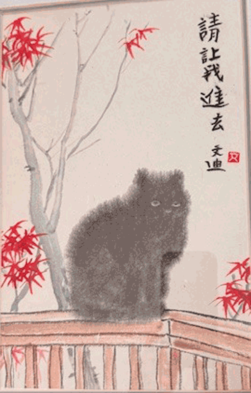 Black Cat: Let me in