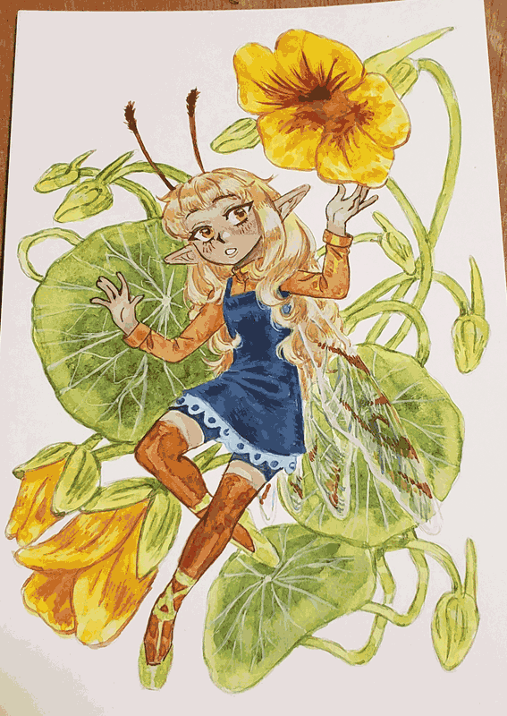 Nasturtium Flower Fairy